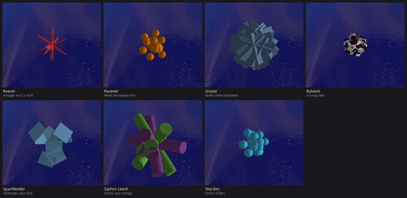 The seven new species, one frame each